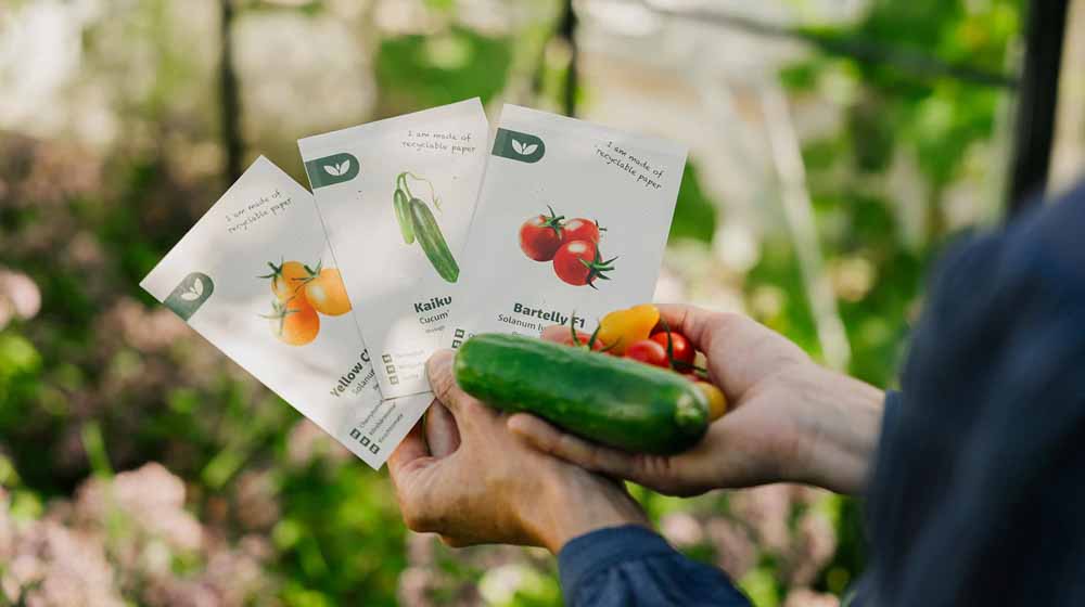 Graines de légumes