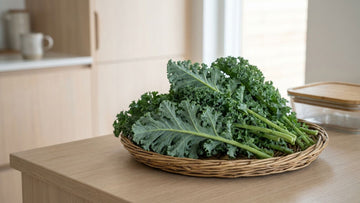 Comment conserver le chou kale - Blomea.fr