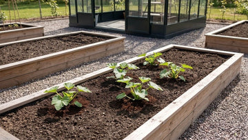 Fertilisation courgette - Blomea.fr
