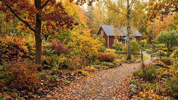 Jardin en automne - Blomea.fr