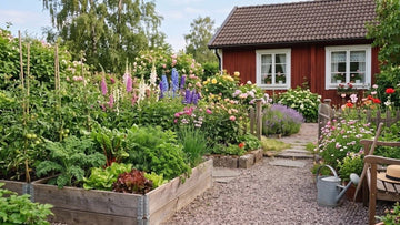 Jardin en été - Blomea.fr
