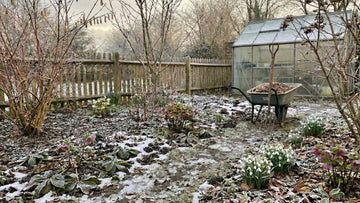 Jardin en février - Blomea.fr