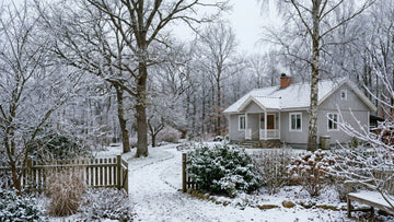 Jardin en hiver - Blomea.fr