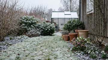 Jardin en janvier - Blomea.fr