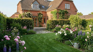 Jardin en juin - Blomea.fr