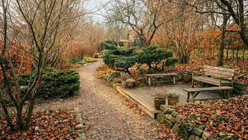 Jardin en novembre - Blomea.fr
