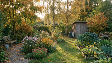 Jardin en septembre - Blomea.fr