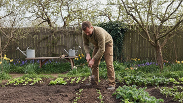 Que semer en avril - Blomea.fr