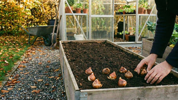 Que semer en octobre - Blomea.fr