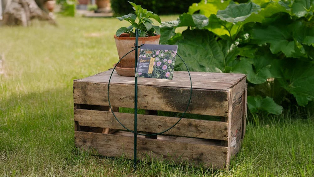 Anneaux pour plantes - Blomea.fr