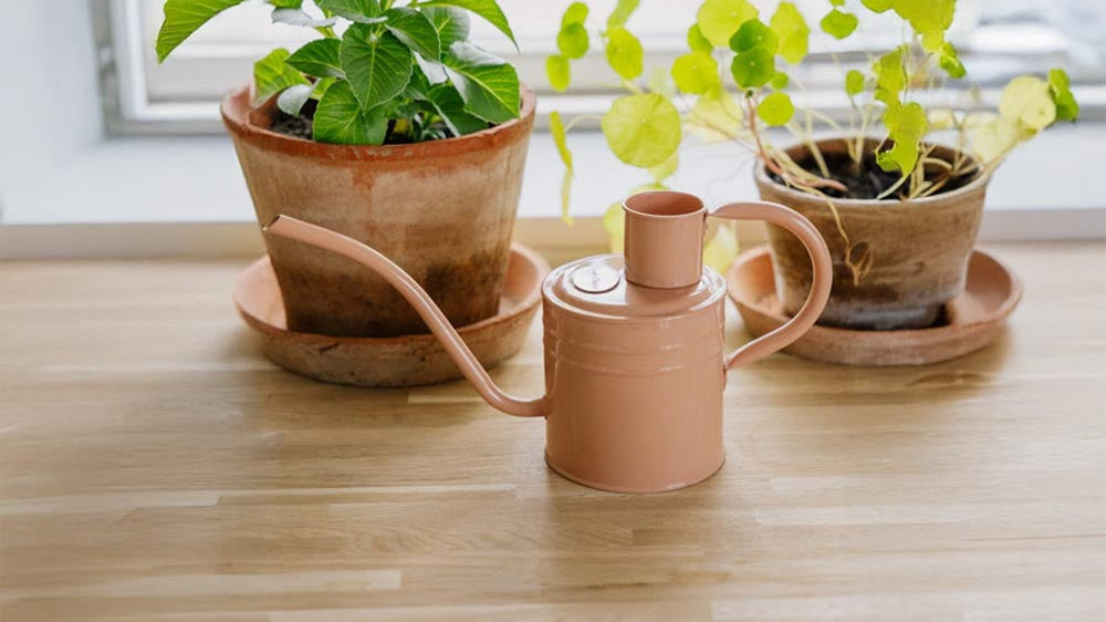 Arrosoir d'intérieur - Blomea.fr