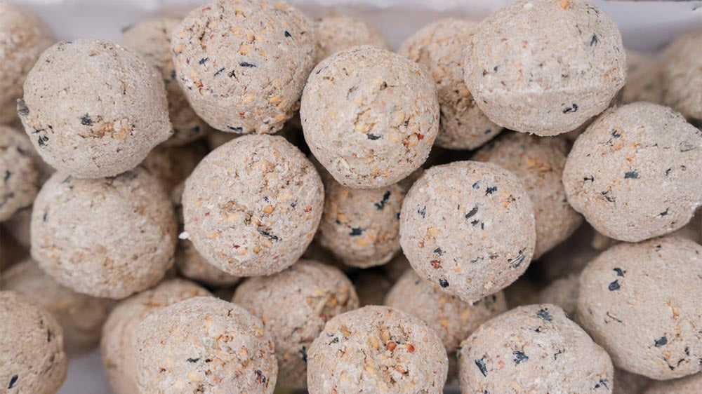 Boules pour oiseaux - Blomea.fr