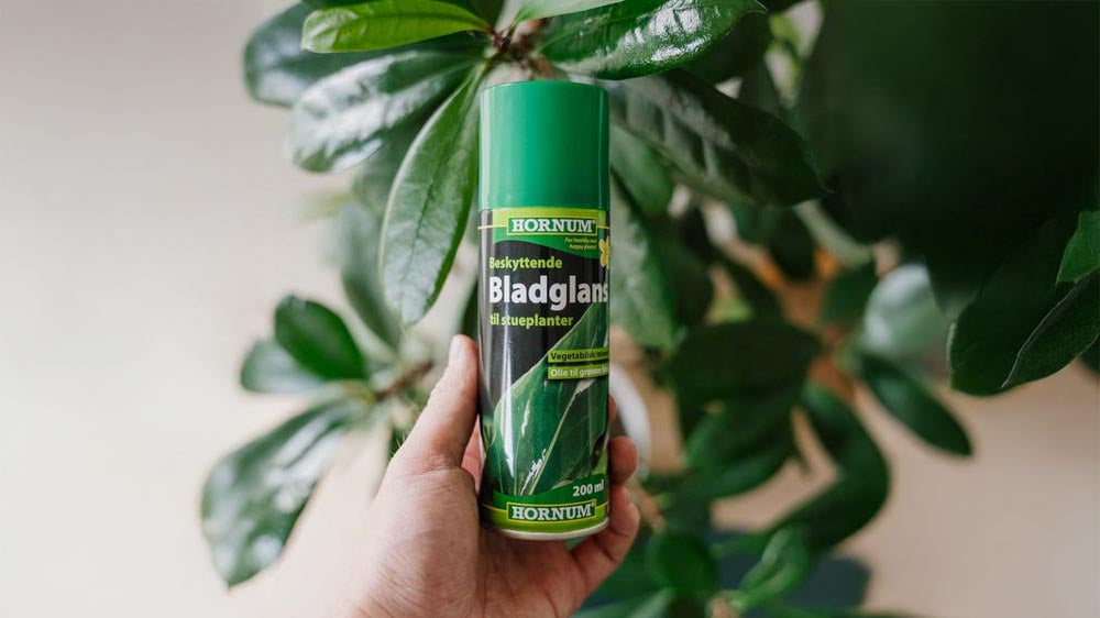 Brillant pour feuilles - Blomea.fr