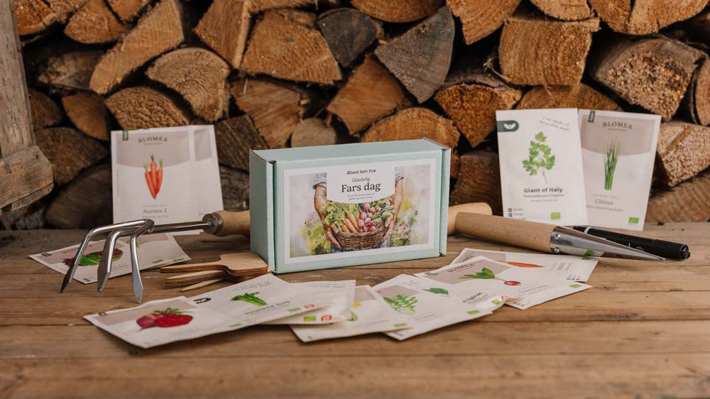 Cadeaux pour la fête des pères - Blomea.fr