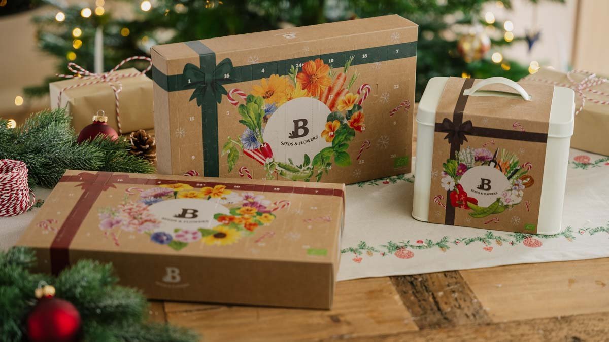 Calendrier de l’Avent graines - Blomea.fr