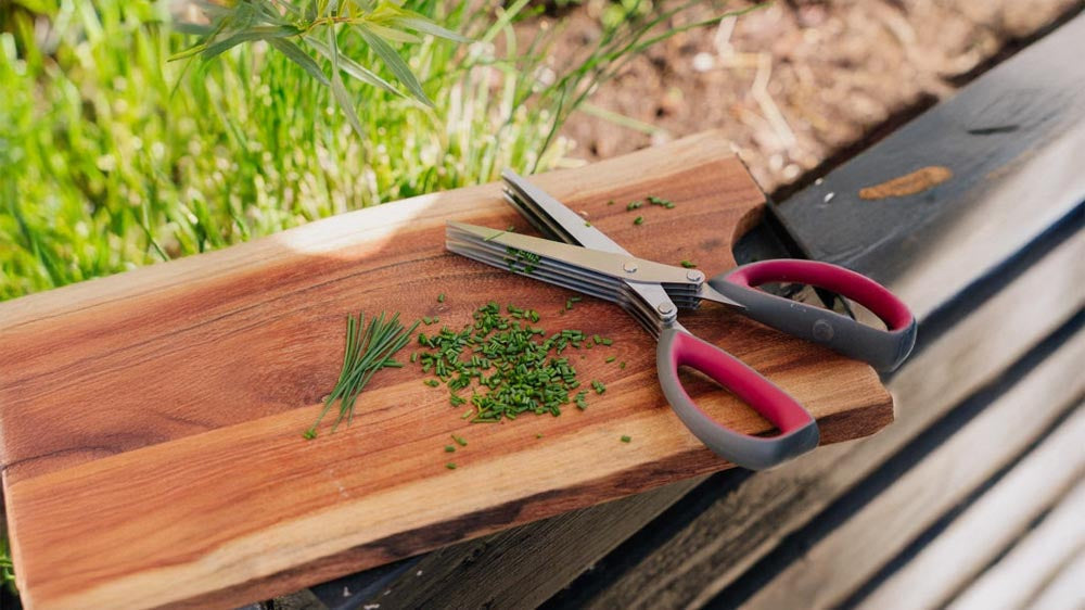 Ciseaux à herbes - Blomea.fr