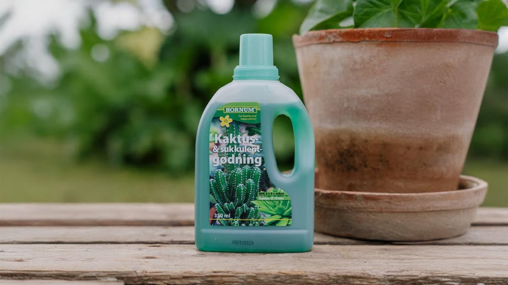 Engrais pour cactus - Blomea.fr