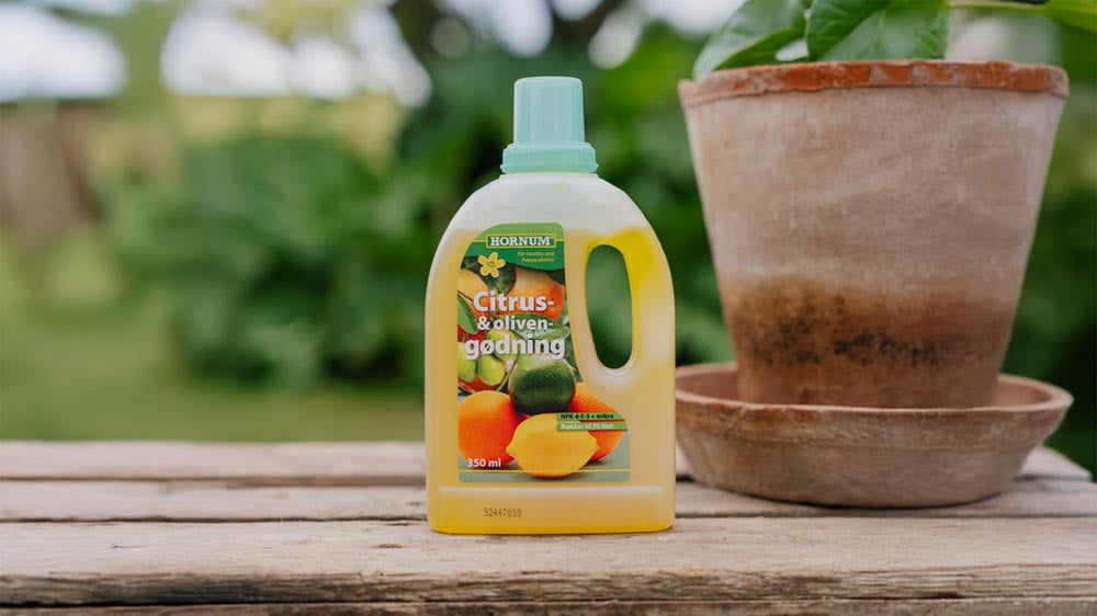 Engrais pour oliviers - Blomea.fr