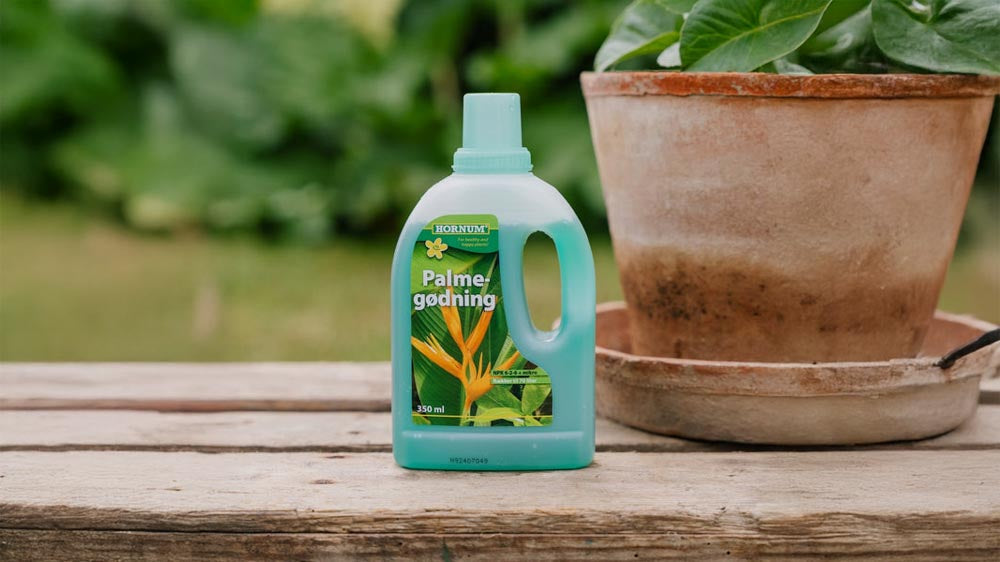 Engrais pour palmiers - Blomea.fr