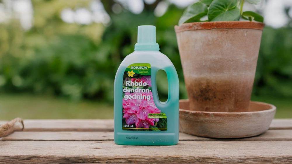 Engrais pour rhododendron - Blomea.fr