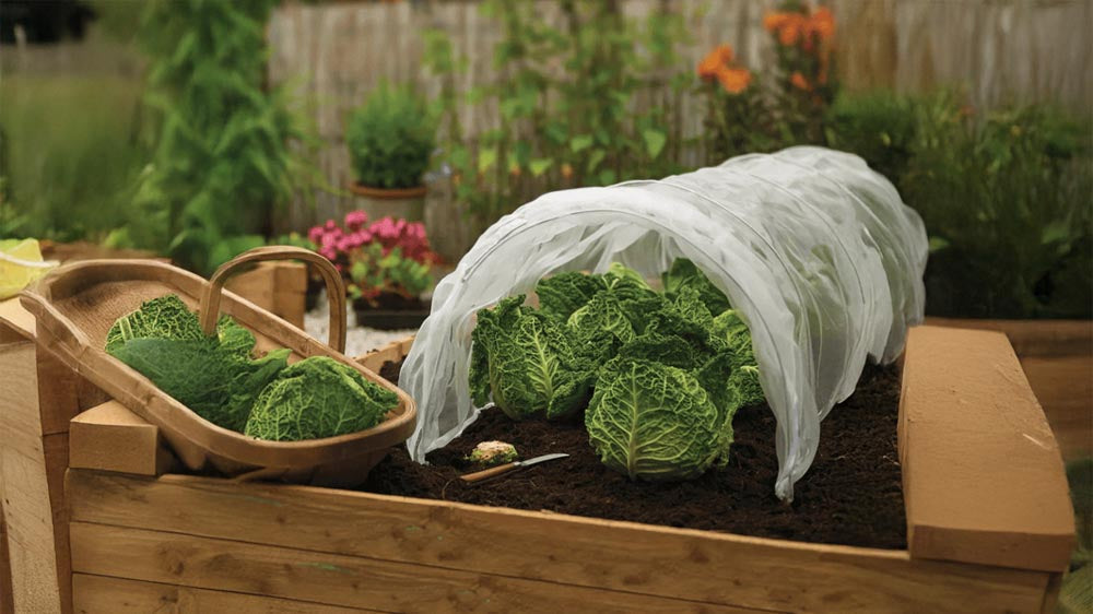 Filet anti insecte - Blomea.fr