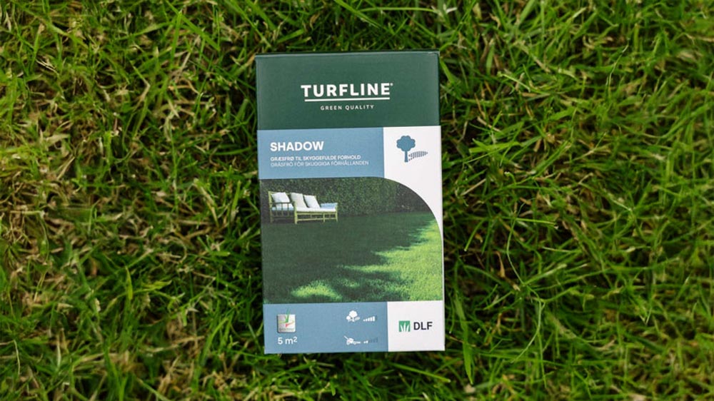 Gazon d'ombre - Blomea.fr