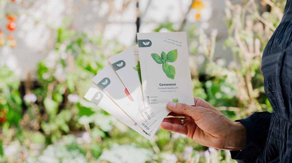 Graines d'herbes aromatiques - Blomea.fr