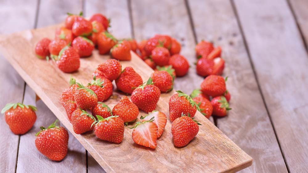 Le jardin comestible - Blomea.fr