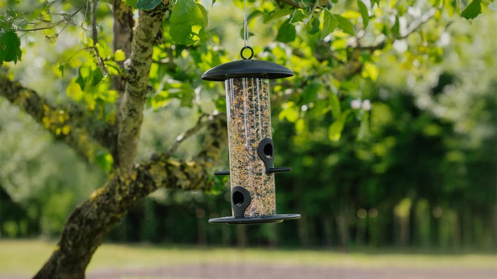 Mangeoires à oiseaux - Blomea.fr