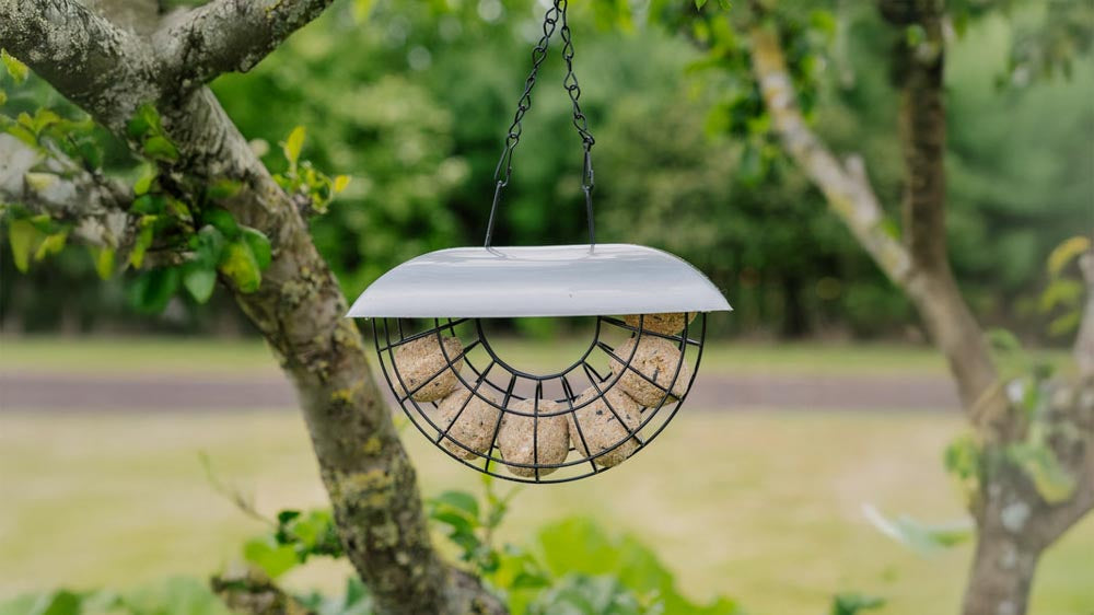 Mangeoires automatiques - Blomea.fr