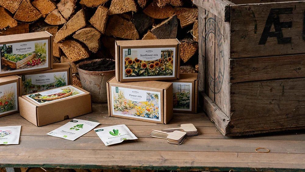 Packs de graines - Blomea.fr