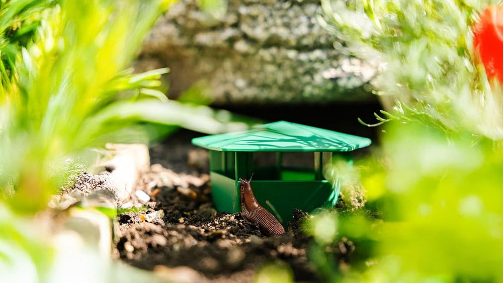 Piège à limaces - Blomea.fr