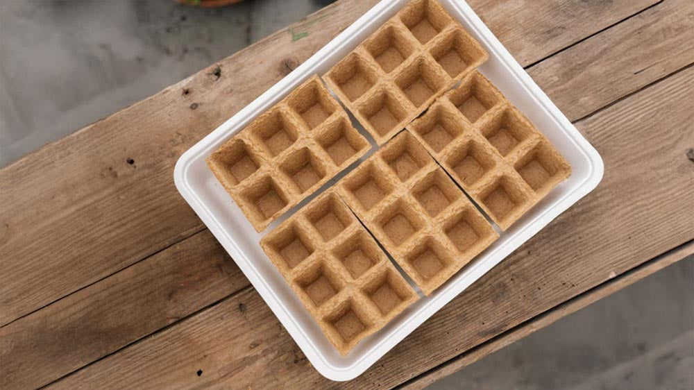 Plateau de semis - Blomea.fr