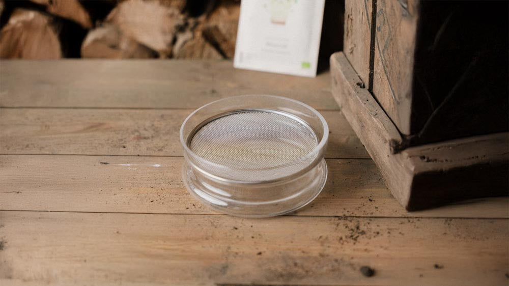 Pot de germination - Blomea.fr