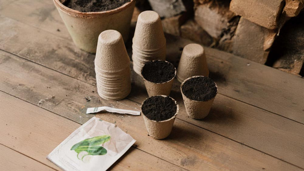 Pots de culture - Blomea.fr