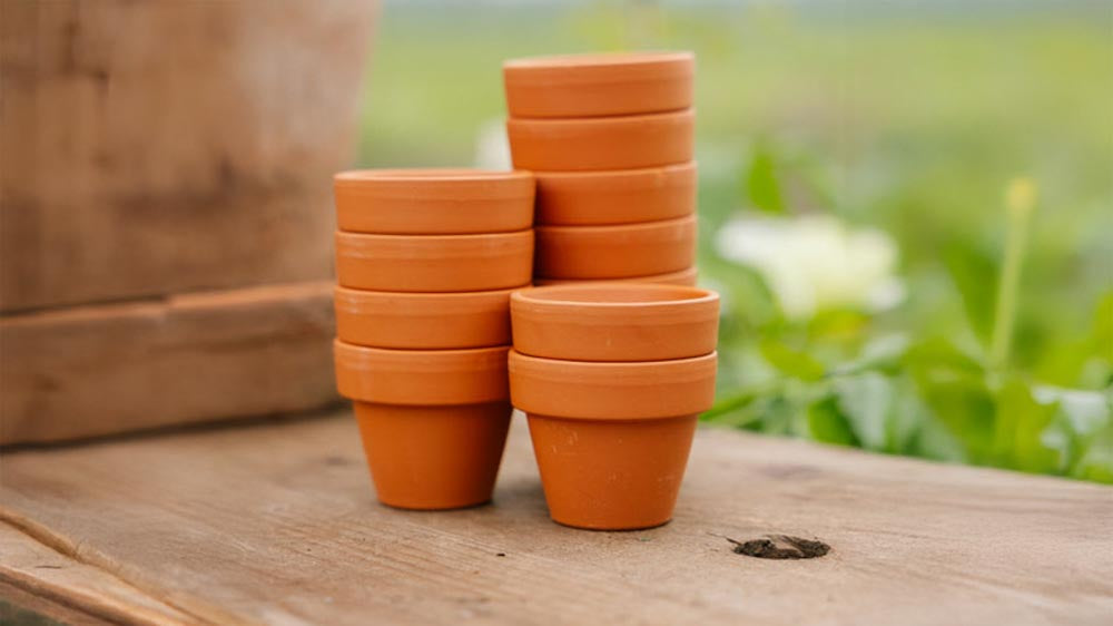 Pots en terre cuite - Blomea.fr