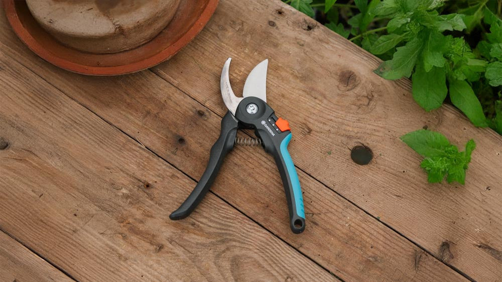 Sécateurs - Blomea.fr