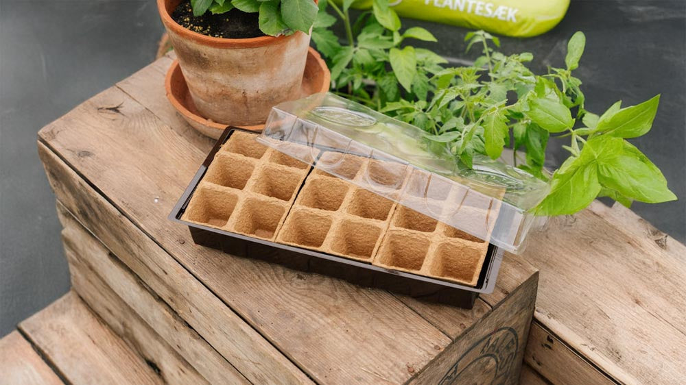 Starterkits - Blomea.fr