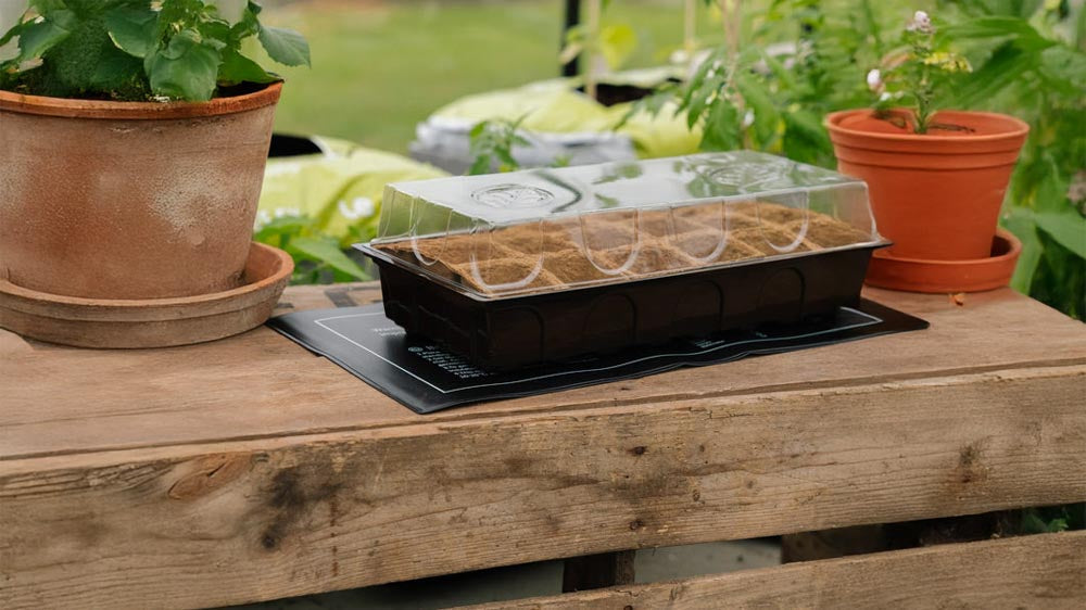 Tapis chauffants - Blomea.fr