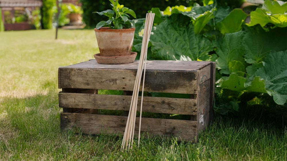 Tuteurs de plantes - Blomea.fr