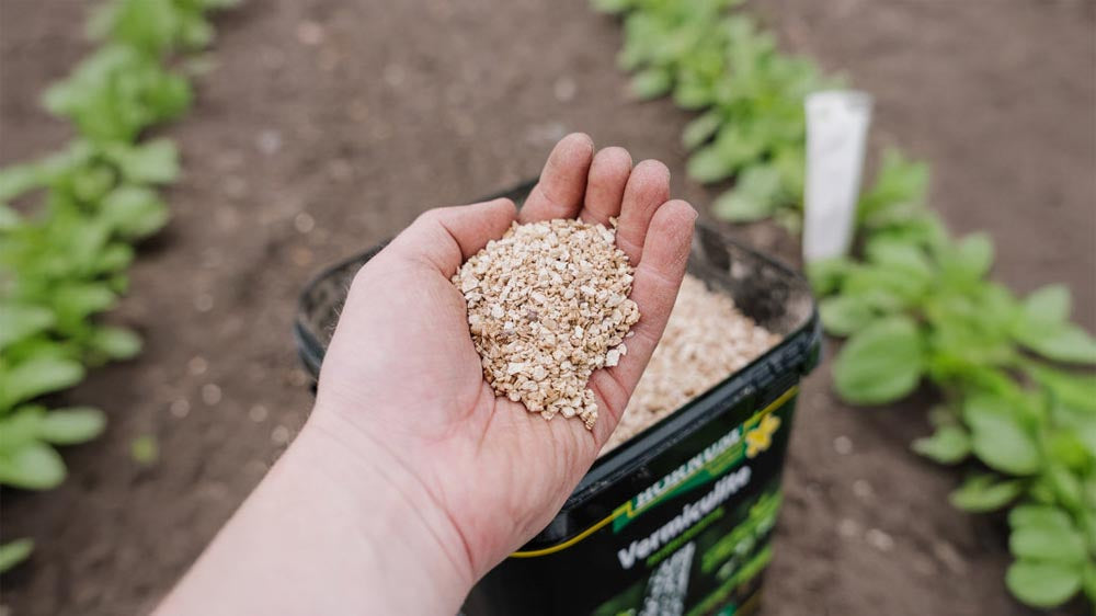 Vermiculite - Blomea.fr