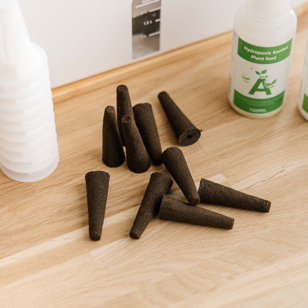 10 champignons pour potagers d'intérieur