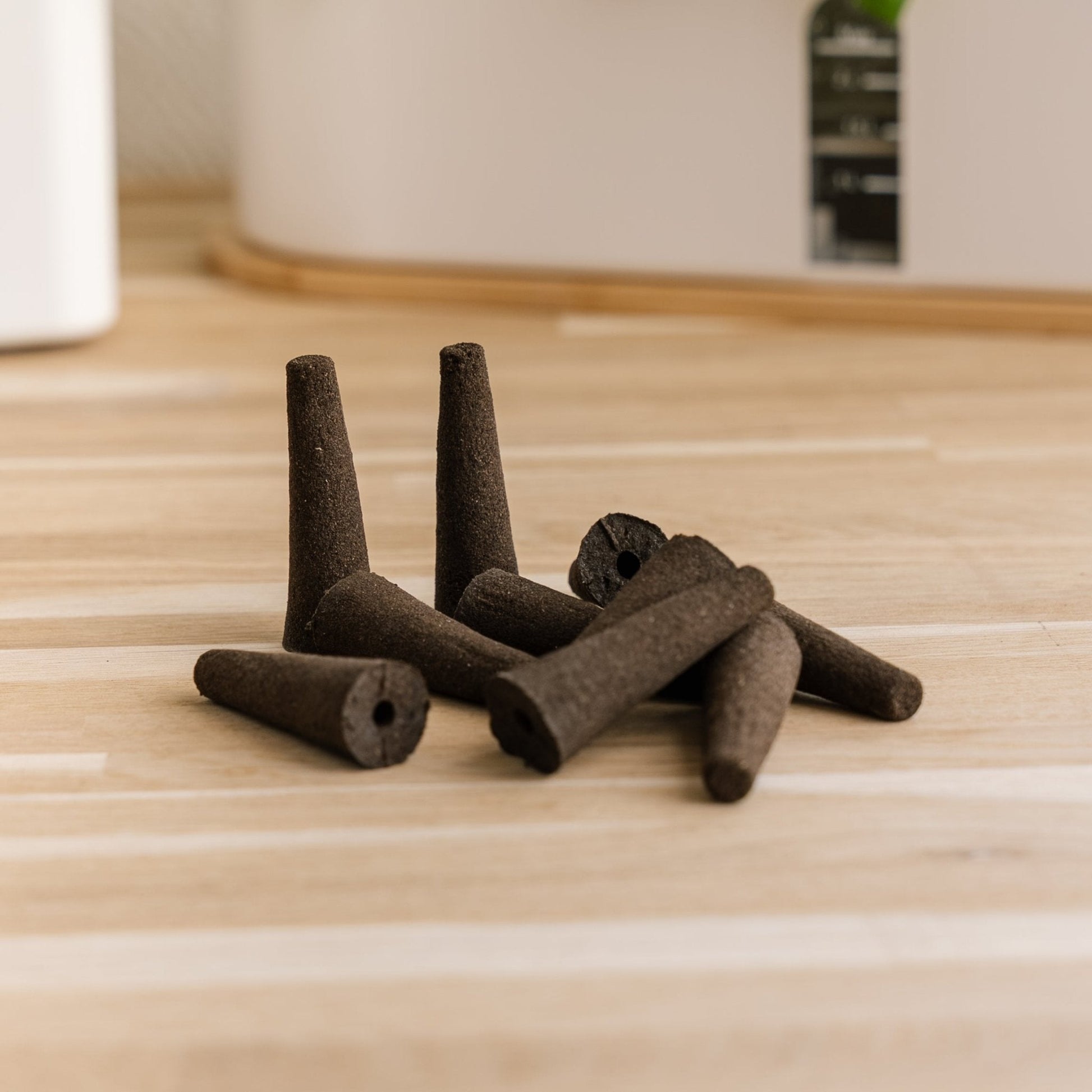 10 champignons pour potagers d'intérieur