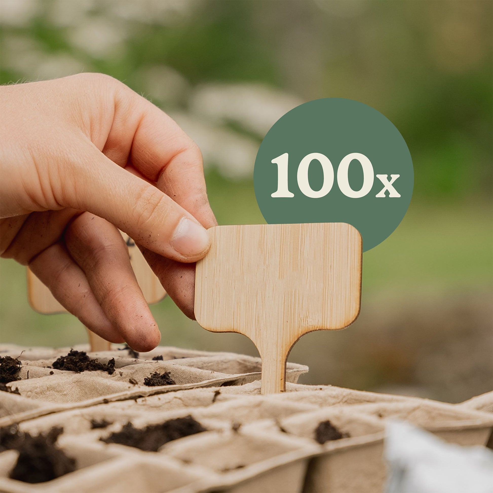 100 étiquettes pour plantes en bambou