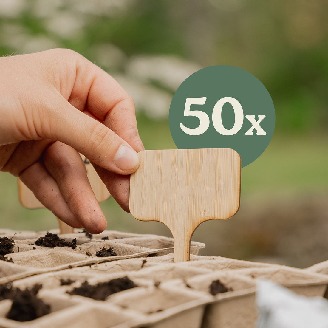 50 étiquettes pour plantes en bambou