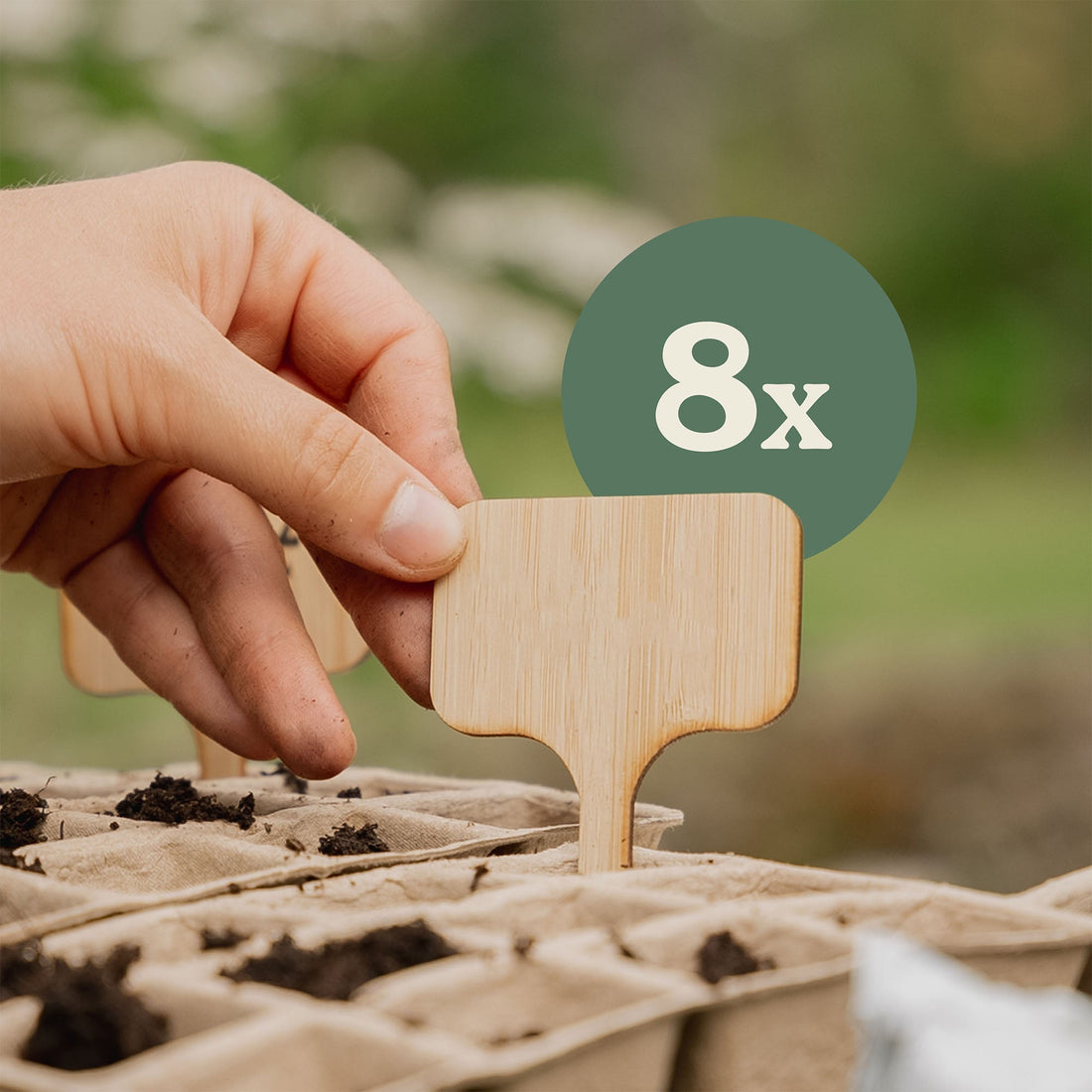 8 étiquettes pour plantes en bambou
