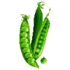 Graines de légumes