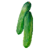 Graines de légumes