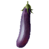 Graines de légumes