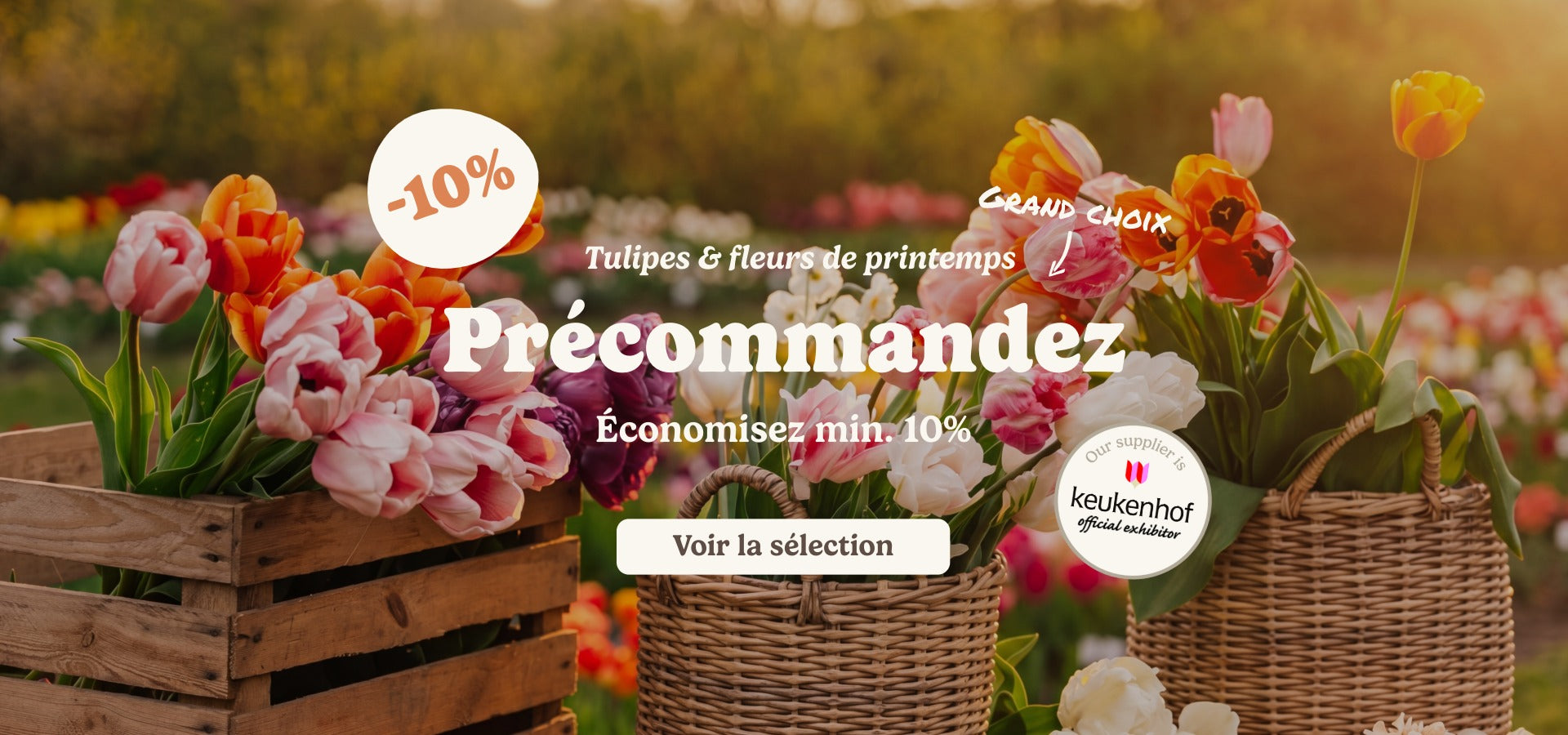slider image slider_item_CqeVRB